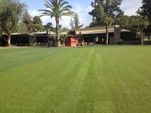 club-pineda-campo-croquet