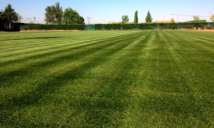 Campo de fútbol de Grijota, Palencia.