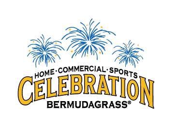 celebration-bermudagrass