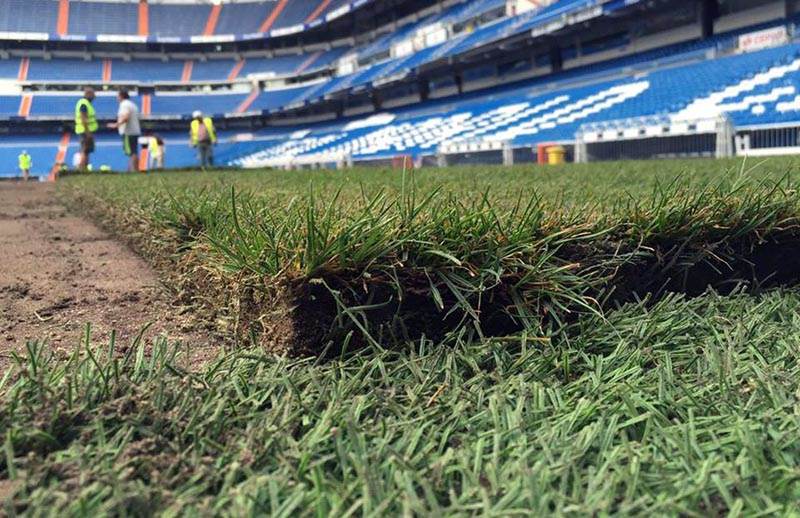 estadio-santiago-bernabeu-cesped-08