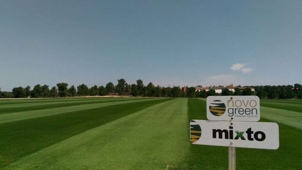 La Supercopa de España se juega sobre el césped de Novogreen